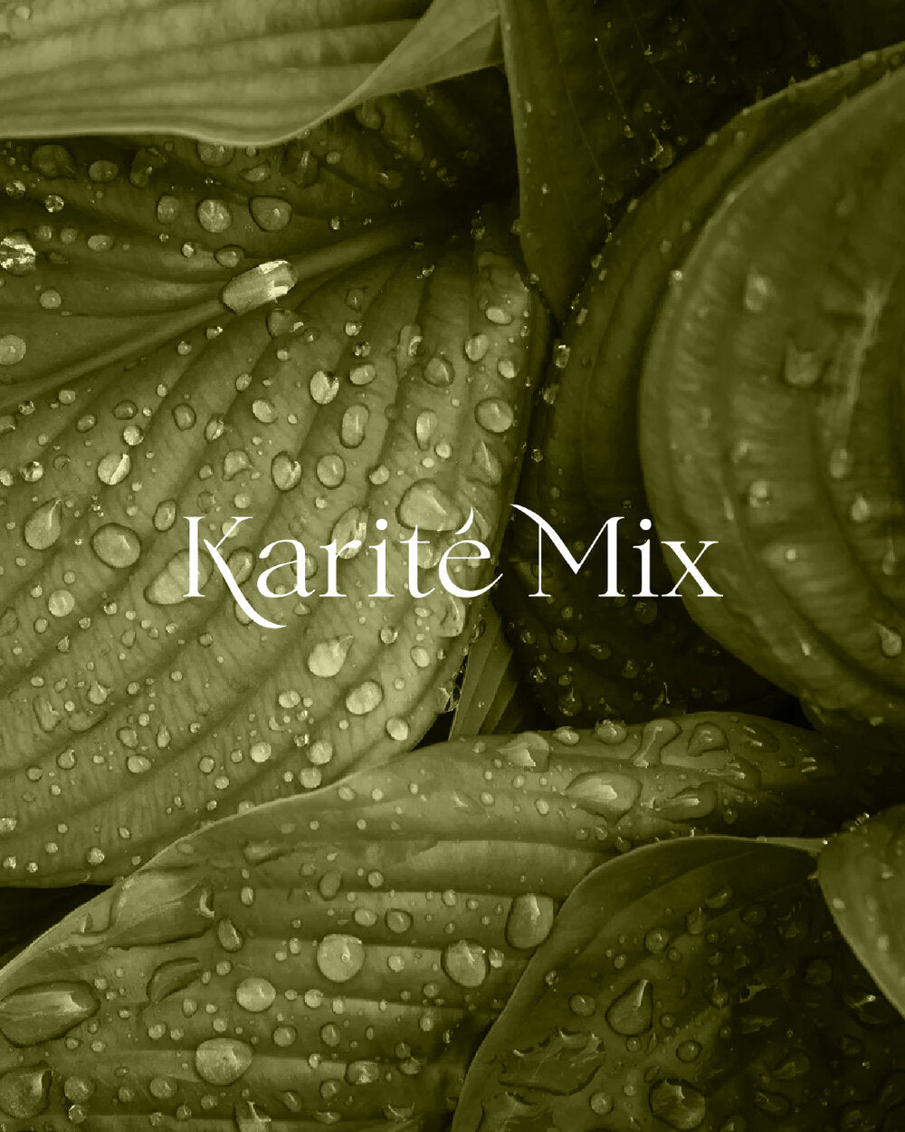 Bienvenue sur le site Karité Mix